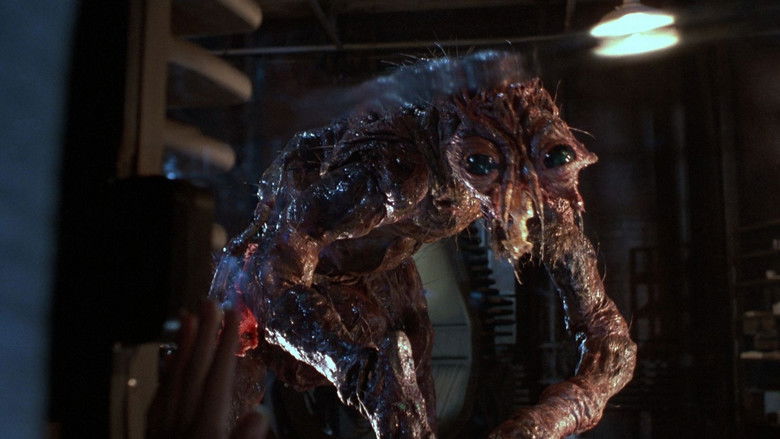 Backdrop de The Fly (1986) Collection