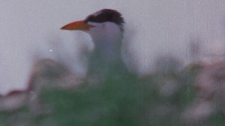 Gallery image from 6oJWhbKNhr99zYxUxoxMlDv3srH.jpg