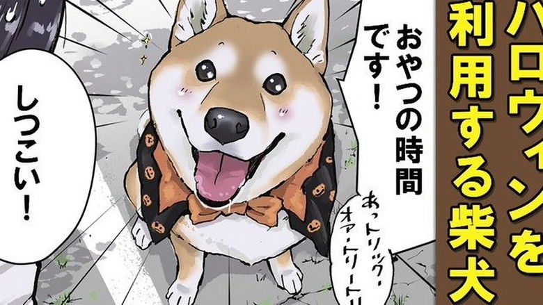 Still image for Doomsday with My Dog season 1 episode 51: Spot the Mistakes / The Art of Negotiation / Halloween Still image for Doomsday with My Dog season 1 episode 51: Spot the Mistakes / The Art of Negotiation / Halloween