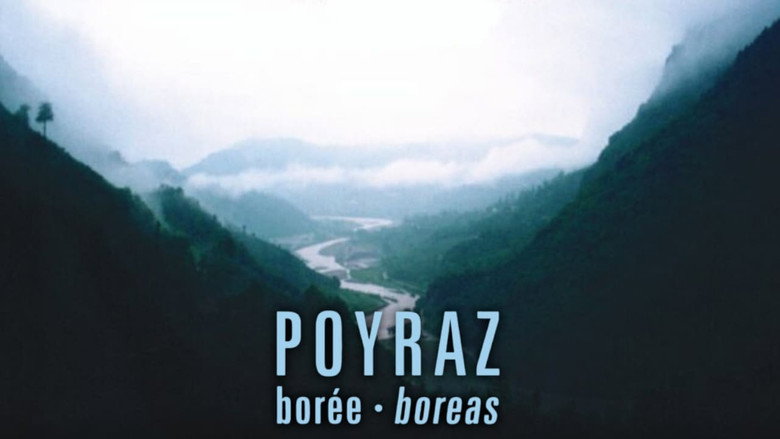 Boreas galeri 2