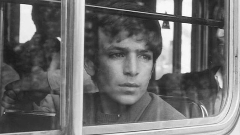 Gallery image from 6pLRY6e5igBNT5U3udEVFpQDqUC.jpg