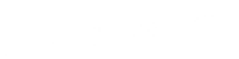 Imagen de Una noche para sobrevivir