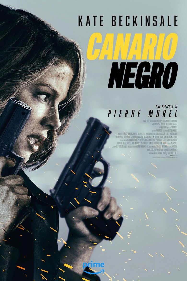 Póster la Película