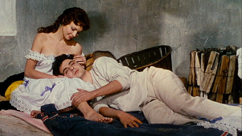 Image d'arrière-plan 12 du film French Cancan