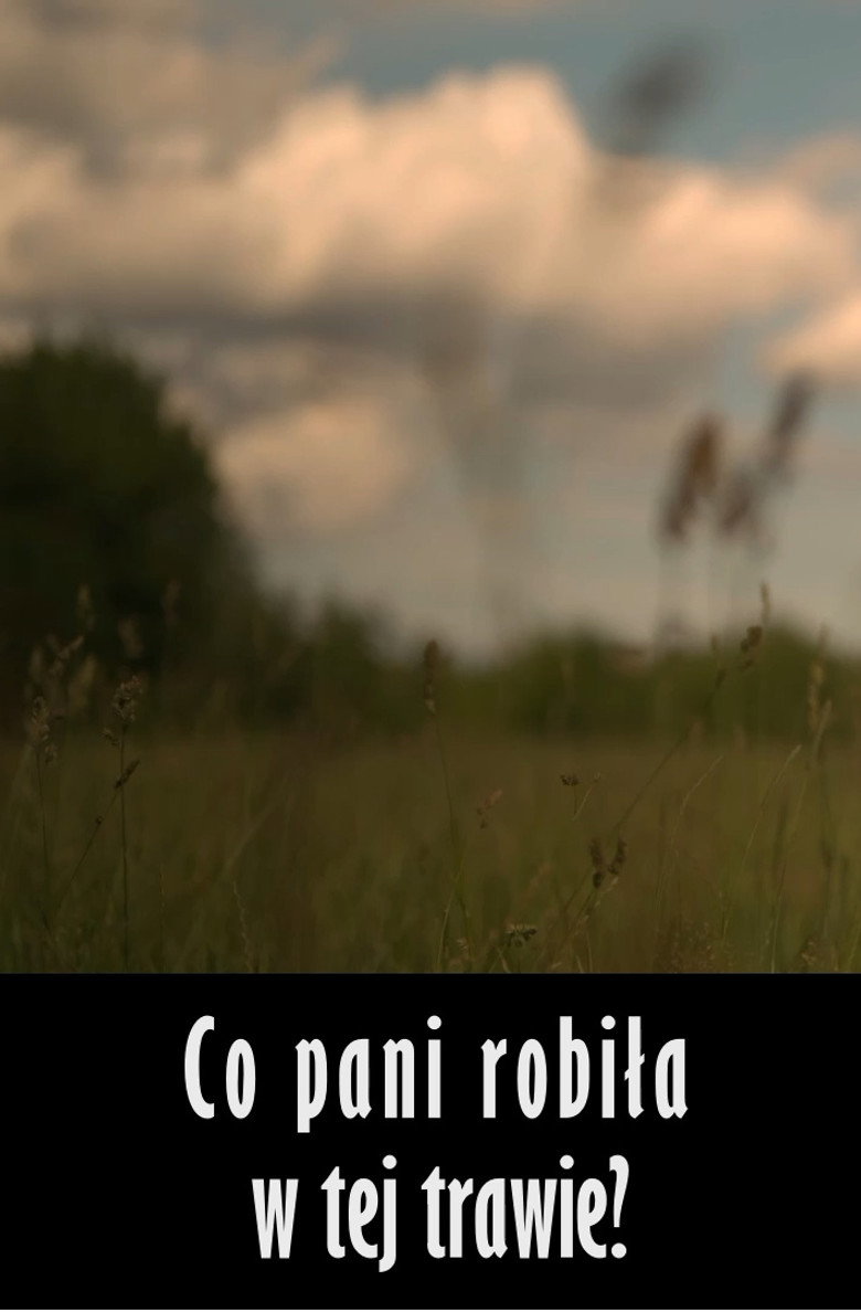 Imatge de Co pani robiła w tej trawie?