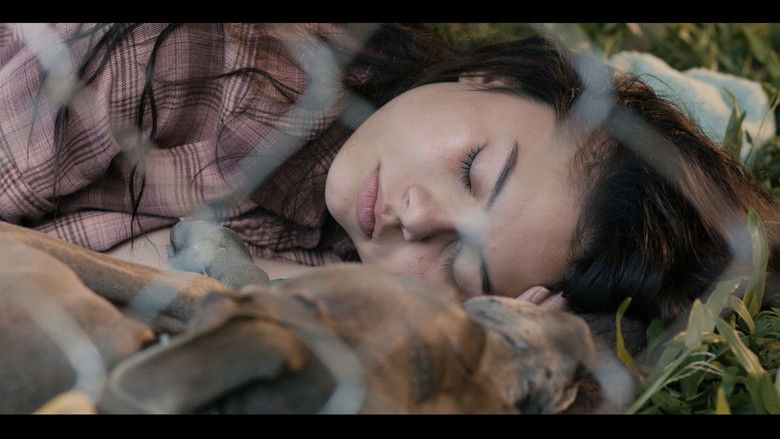 The Moon and The Night