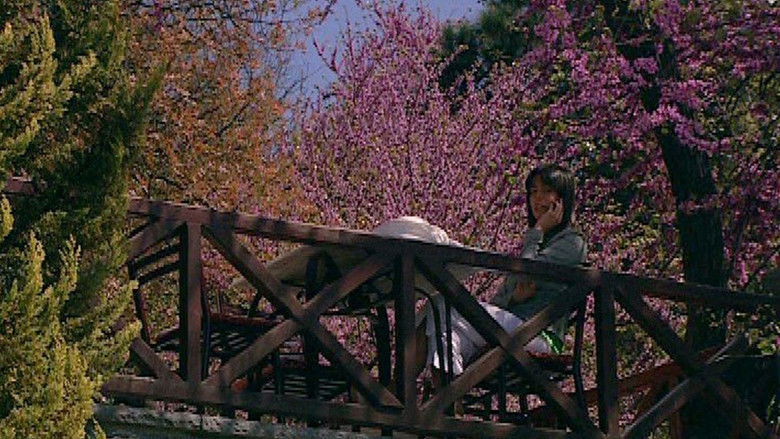 Still image for Yalancı Yarim season 1 episode 43: Episode 43 Still image for Yalancı Yarim season 1 episode 43: Episode 43