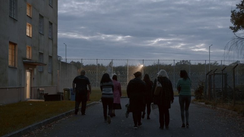 Gallery image from 6sJMAdAdWWkFwzUYx1W8QnI02Mu.jpg