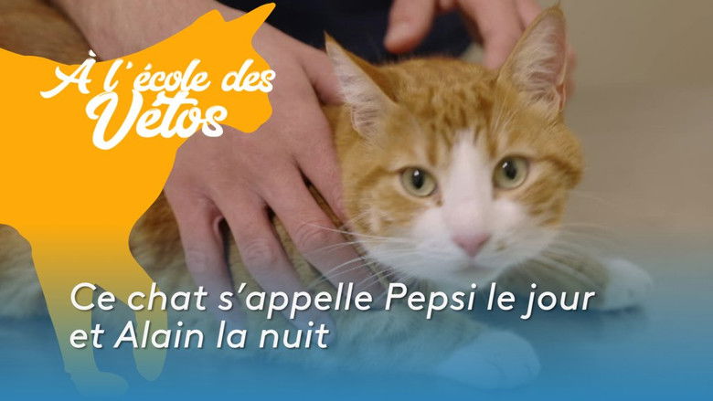 Still image for A l'école des vétos season 1 episode 10: Episode 10