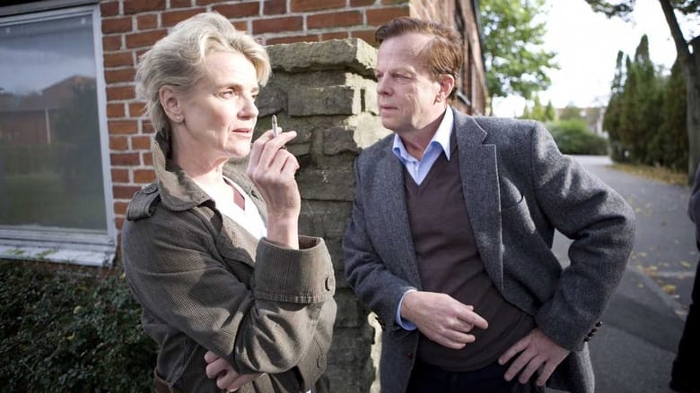 Wallander 15 - The Guilt