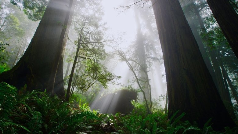 Giants Rising (2024)