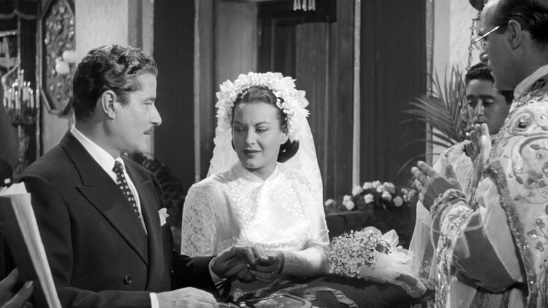 Gallery image from 6t1Fnkn6CaP9cya38EU5FBWI4jB.jpg