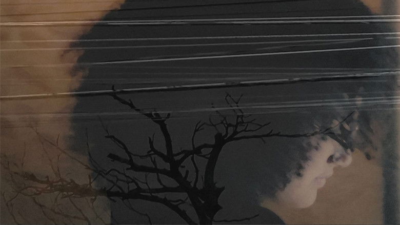 Imatge de Cosmonauta