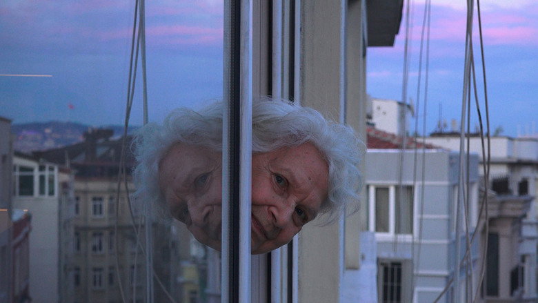 Imatge de Stella ile 8 Mart