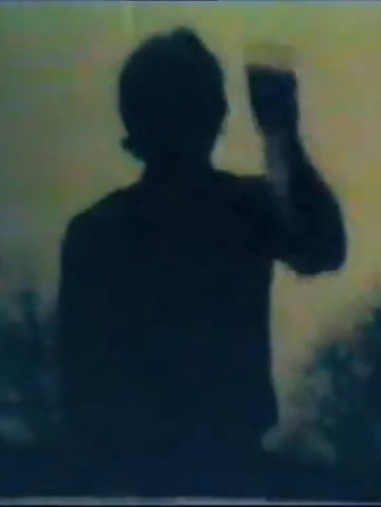 Imatge de Halloween 4: Dawn of the Dreary