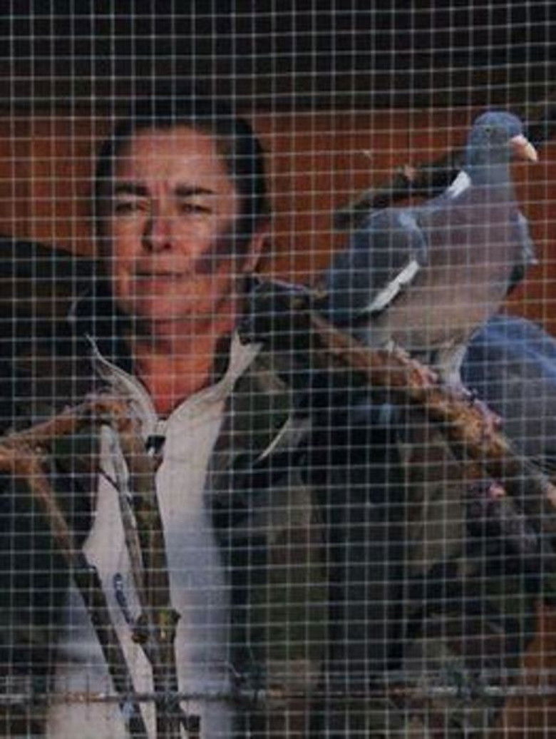 Imatge de Le mal bleu