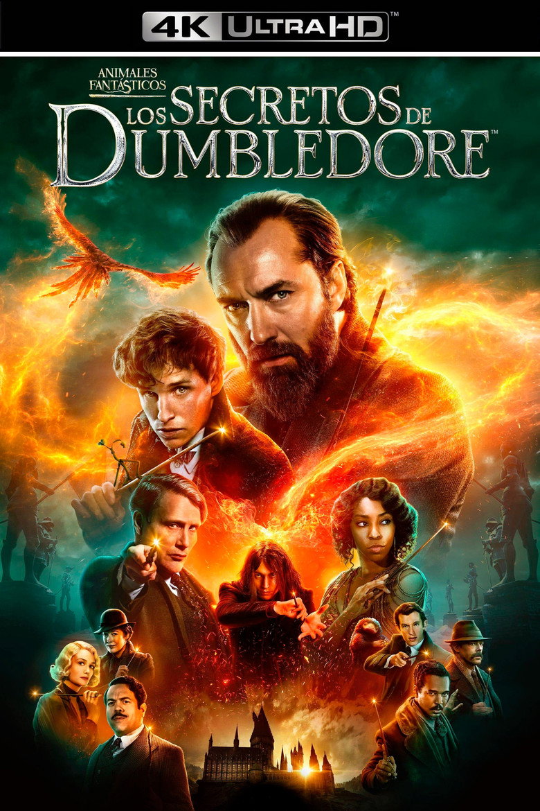 Póster la Película