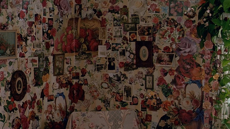 Backdrop