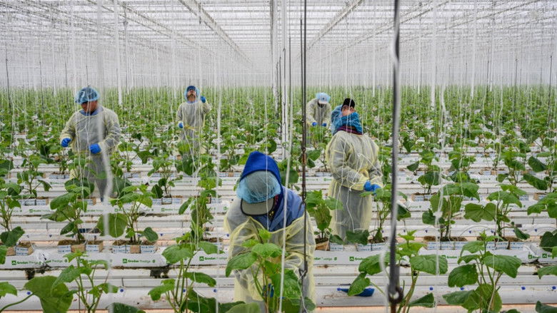 Still image for Food for Thought season 1 episode 1: United States - New Cowboys Still image for Food for Thought season 1 episode 1: United States - New Cowboys