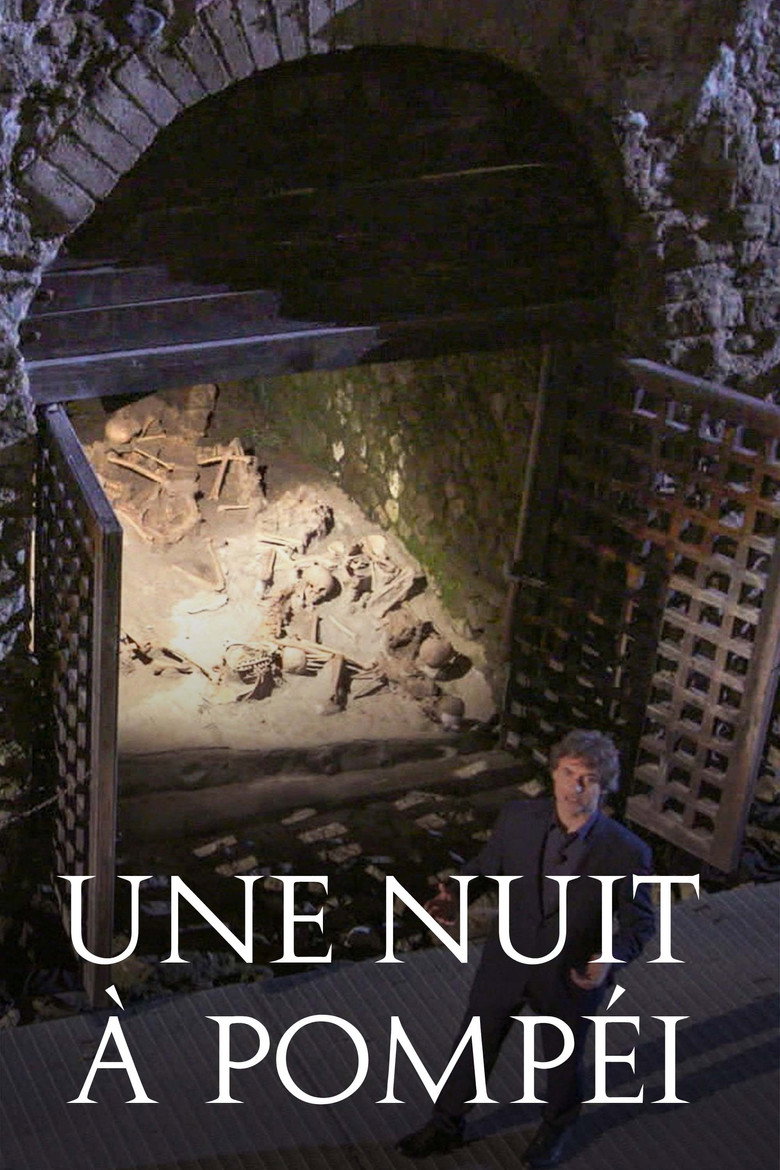 Affiche de UNE NUIT À POMPÉI