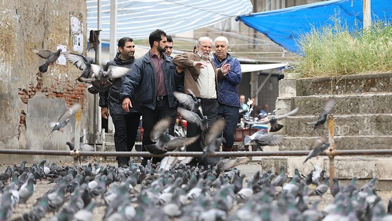 Медиа изображение