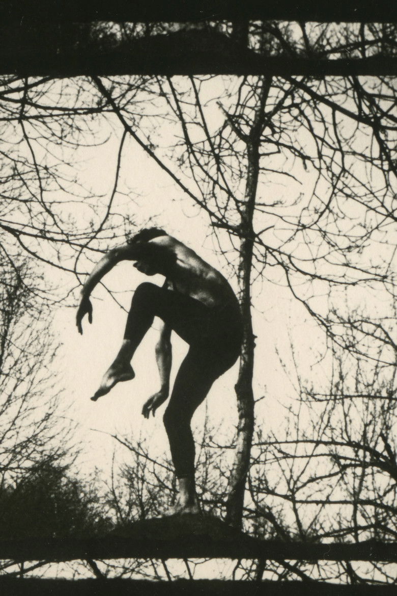 Imatge de A Study in Choreography for Camera