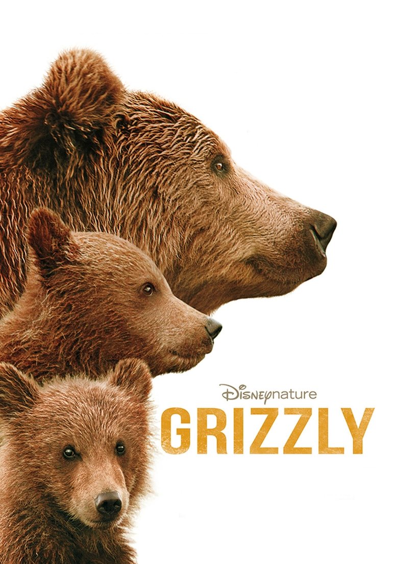 Grizzly Man Streaming Vostfr Regarder le film Grizzly en streaming complet gratuit VF VOSTFR HD Blu-Ray