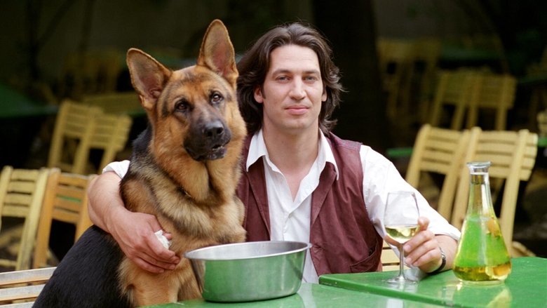 Voir Rex, Chien flic en streaming sur streamizseries.com | Series streaming vf