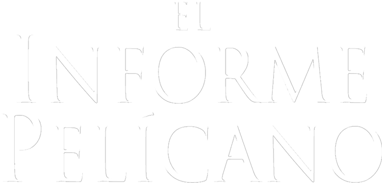 Imagen de El Informe Pelícano