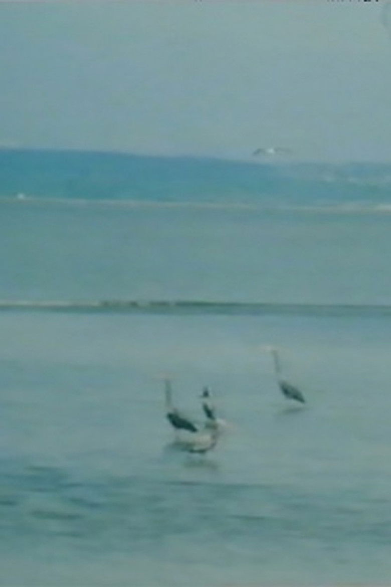 Imatge de Green Dream