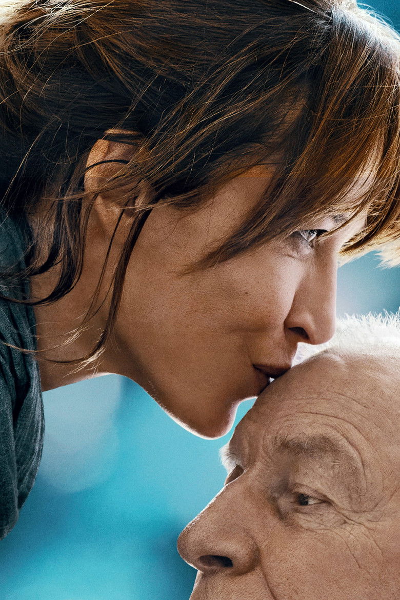 Imatge de Tot ha anat bé