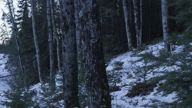 Gallery image from 6ySQdjjuAsRv09h6yv9AD34Ndoe.jpg