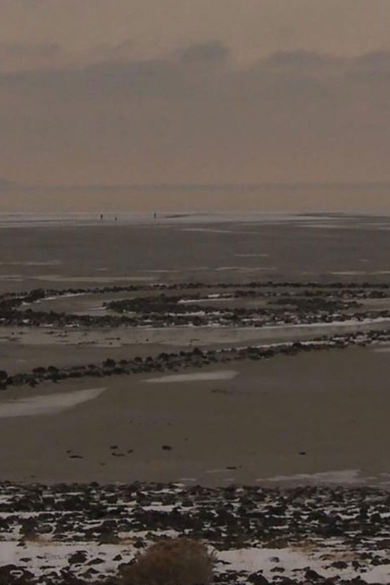 Imatge de Measuring Change