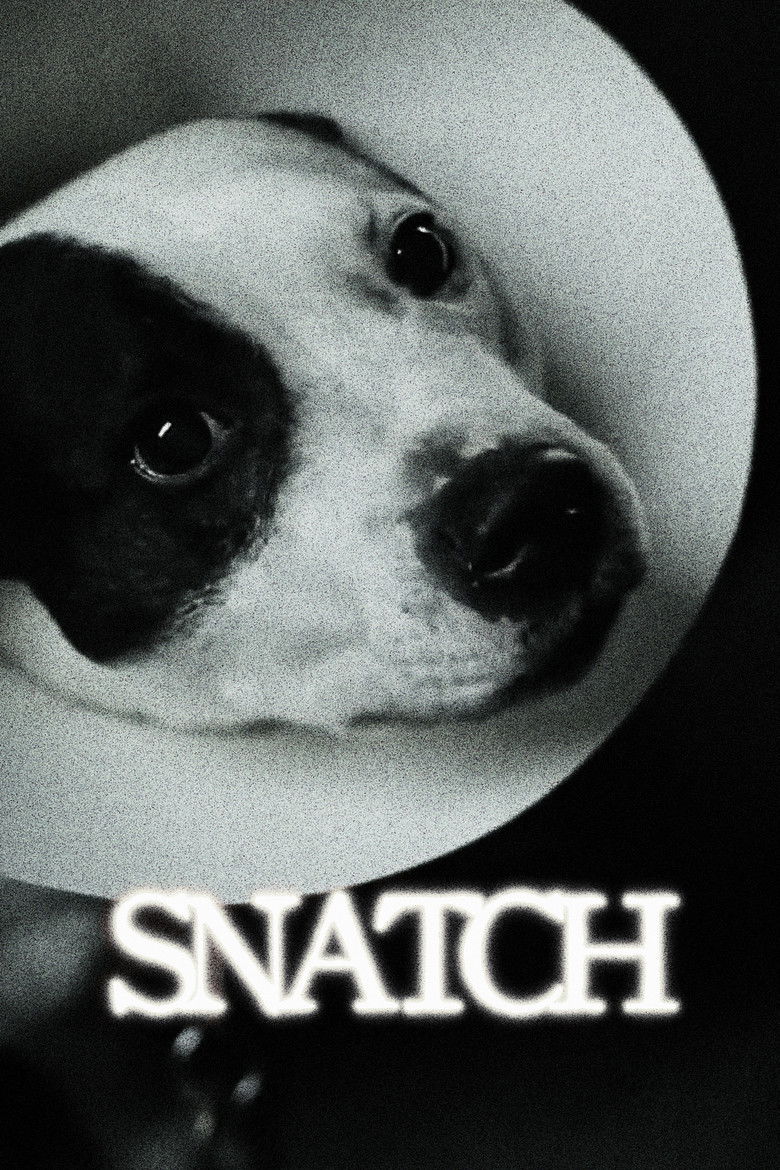 Imatge de Snatch (porcs i diamants)