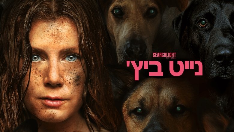 Gallery image from 71LH7XFxXDDTwK2hEf30jJ606eT.jpg