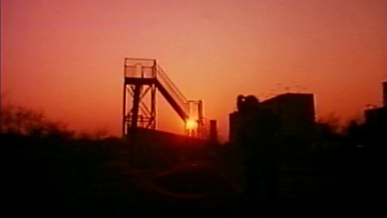 Gallery image from 71RsLxwwCYK9axUNxI03IjQP5bf.jpg