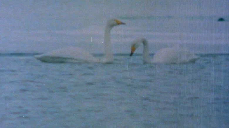 Gallery image from 71q6Udej5IbnA6bRmCA5GpnT7Y8.jpg