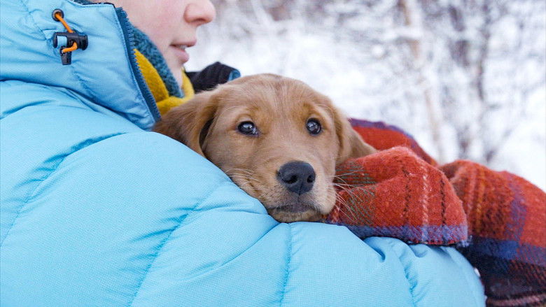 Still image for Redningshundene season 1 episode 2: Fresh puppie owners