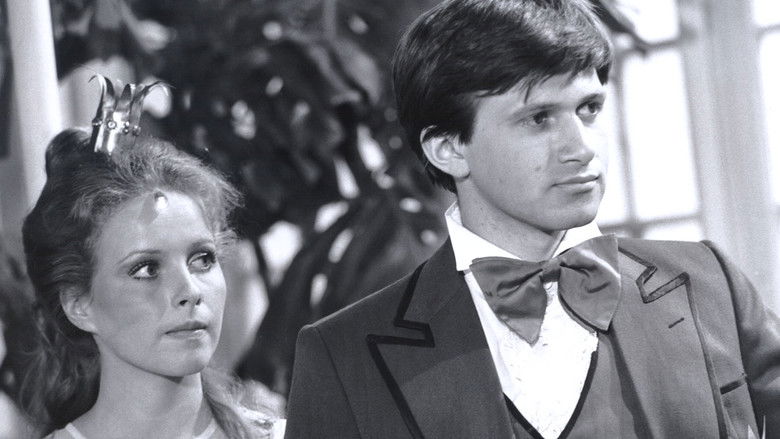 Láďo, ty jsi princezna!