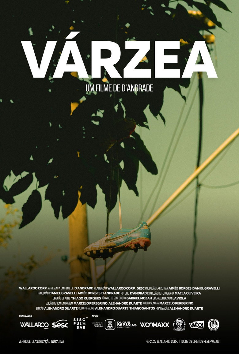 Várzea