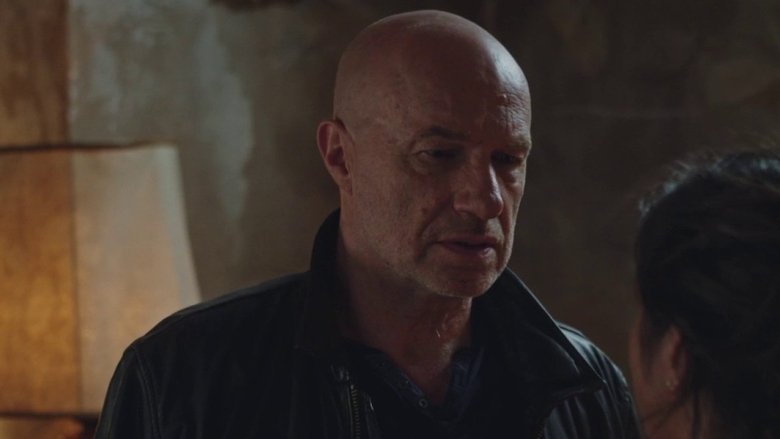 Plus belle la vie Saison 18 Épisode 285 Voirfilms