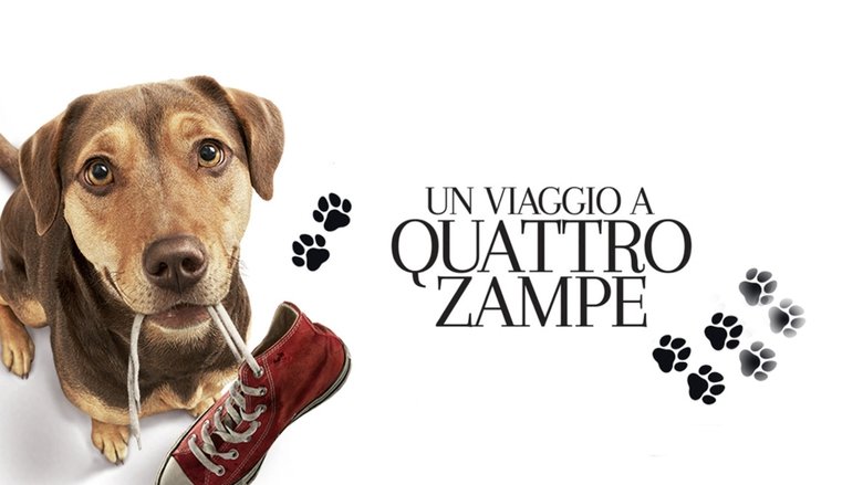 A Dog's Way Home (2019)