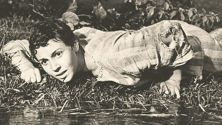 Image d'arrière-plan 4 du film Alpine Ballad