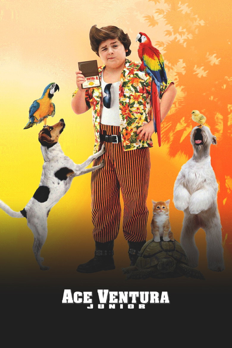 Póster la Película