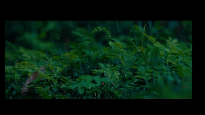 Gallery image from 79C8ej2bulpSEFFCxDZbL427hY7.jpg