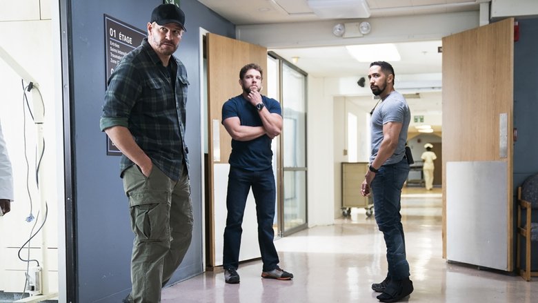 אריות הים עונה 4 פרק 13 לצפייה ישירה