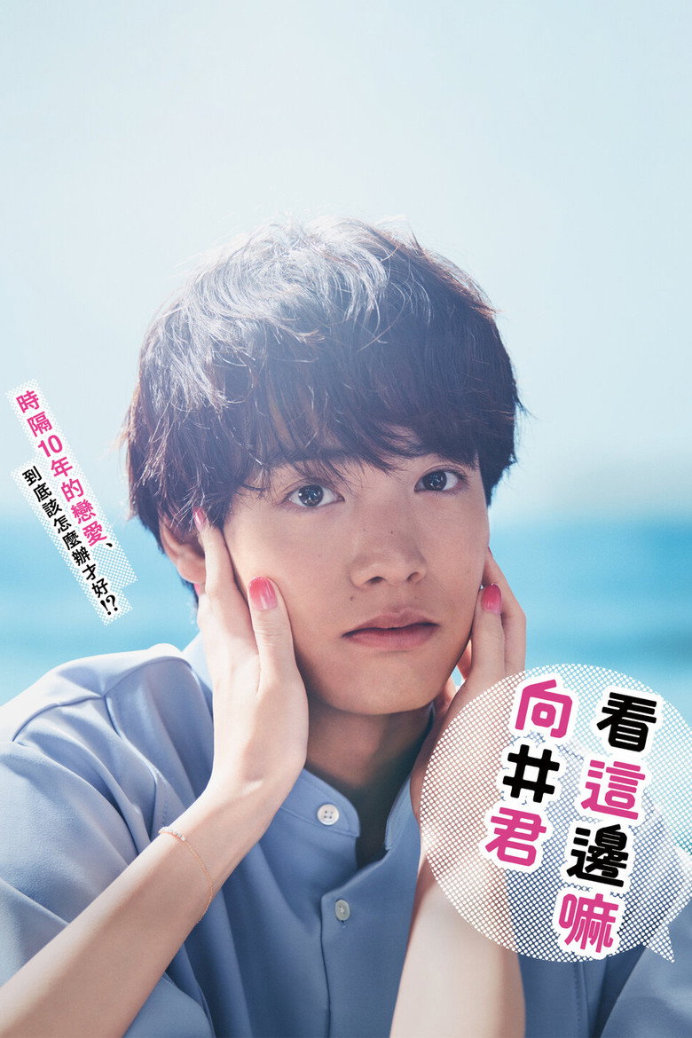 往这边看 向井君 封面海报