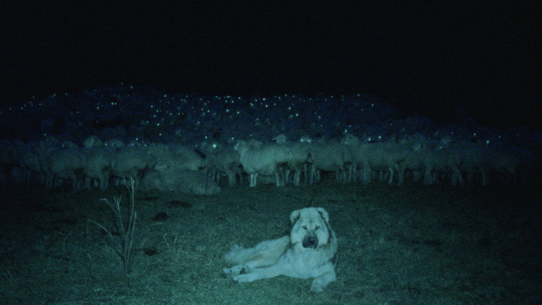 Imatge de The Wind Blows Wherever It Wants