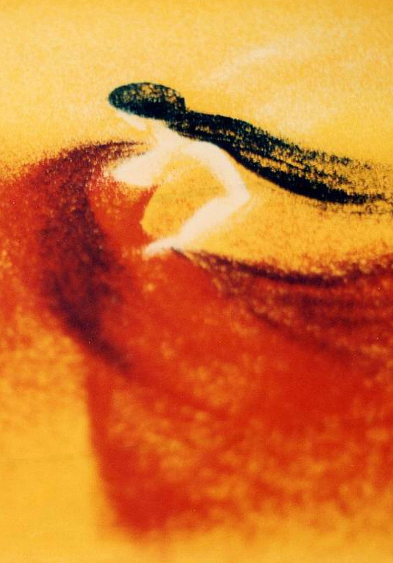 Imatge de Carmen Suita z „Carmen – Suity”