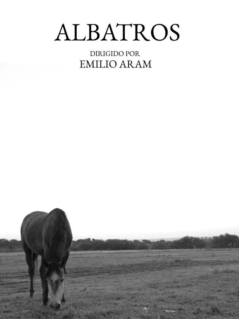 Imatge de Albatros (Nuestro Reino)